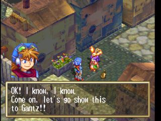 GRANDIA 29