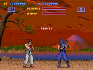 STREETFIGHTER 24
