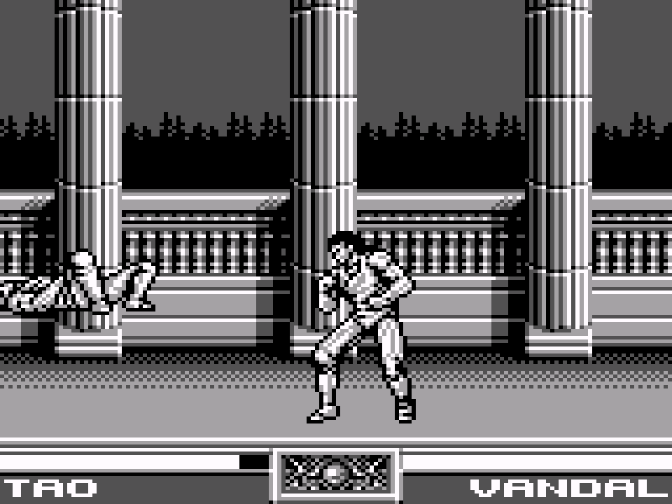 Raging Fighter (USA, Europe)-800101-013224