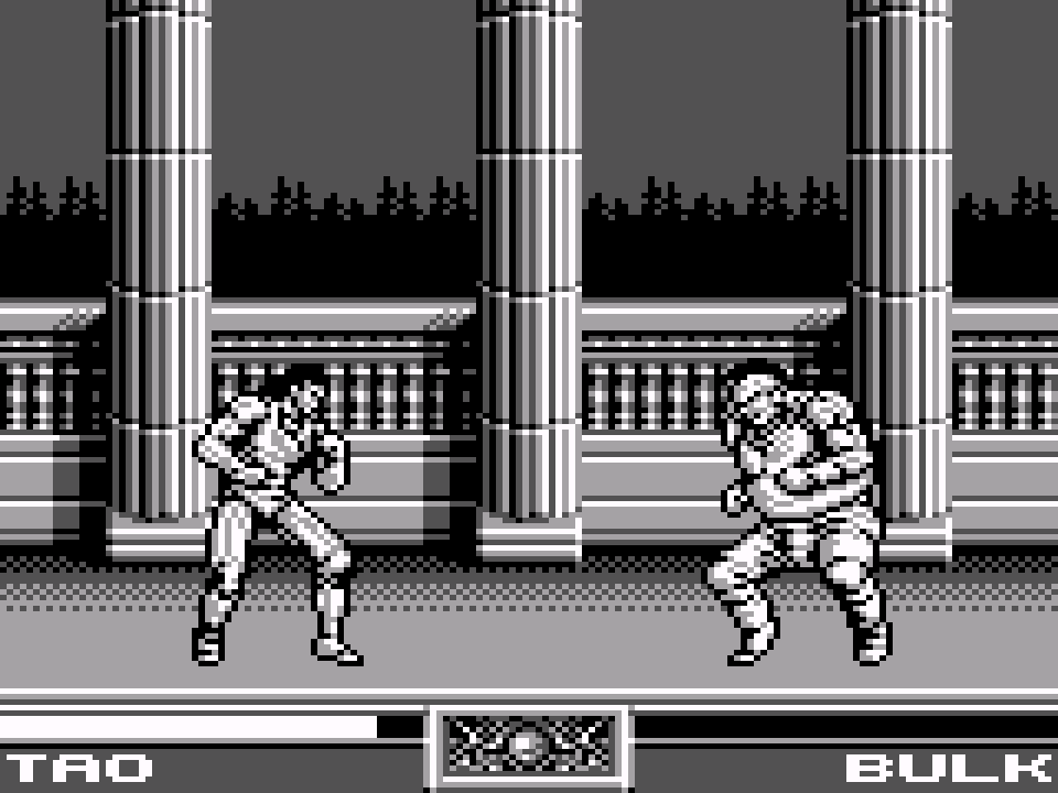 Raging Fighter (USA, Europe)-800101-013246