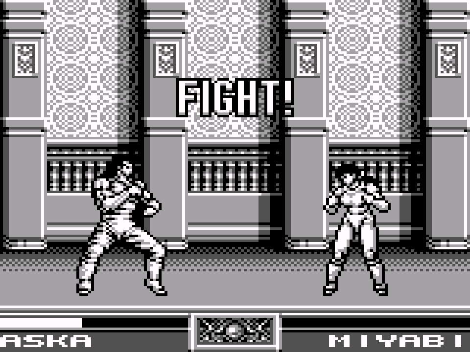 Raging Fighter (USA, Europe)-800101-013424